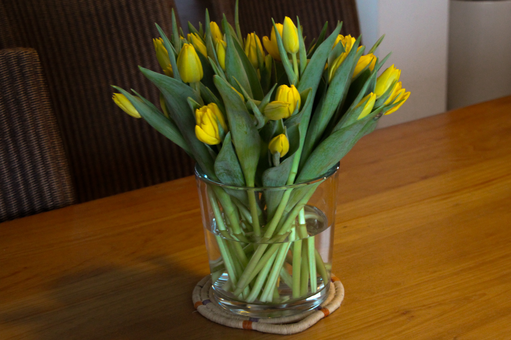 Pick of the day - Afbeelding 4