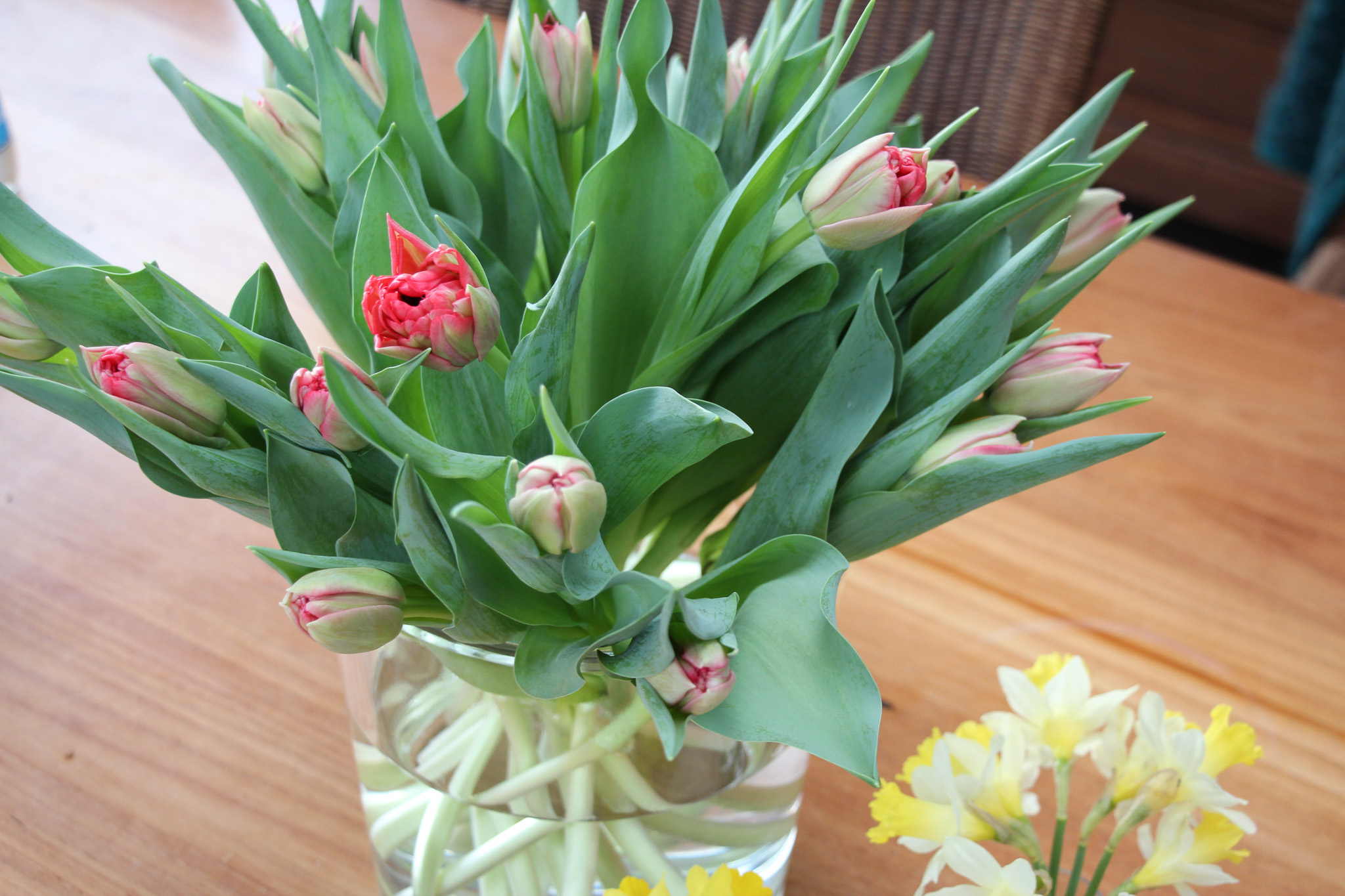 Pick of the day - Afbeelding 3